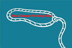 Lasso-Icon-Services_edited_edited.jpg